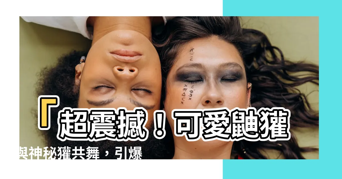 【瓘 動物】「超震撼！可愛鼬獾與神秘獾共舞，引爆瓘動物迷狂熱！」