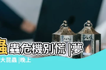 【晚上做夢夢見好多毛毛蟲】蟲蟲危機別慌 |夢見6大昆蟲 |晚上做夢夢到很多蟲子 |