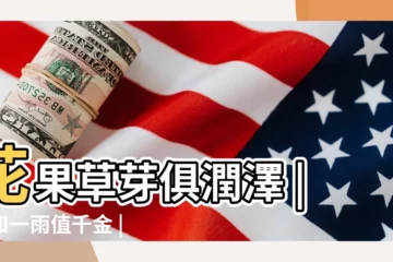 【觀音籤第22籤籤解】花果草芽俱潤澤 |始知一雨值千金 |觀音菩薩靈簽第二十二簽解籤 |
