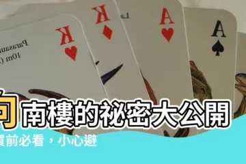 【向南壞處】向南樓的秘密大公開！買前必看，小心避開這些向南壞處