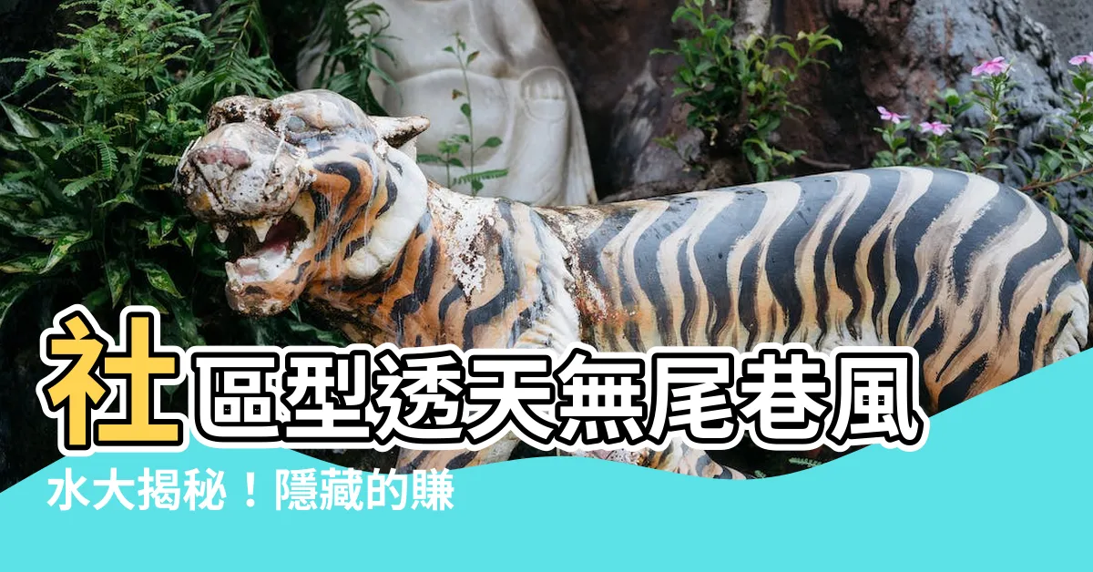 【社區型透天無尾巷風水】社區型透天無尾巷風水大揭秘！隱藏的賺錢機會與格局訣竅