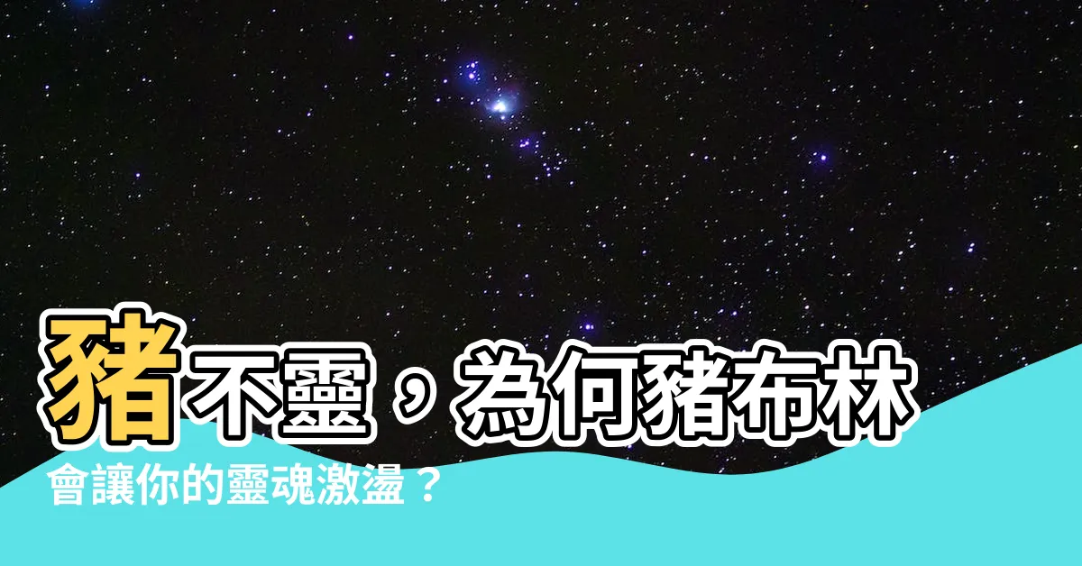 【豬不靈】豬不靈,為何豬布林會讓你的靈魂激盪?