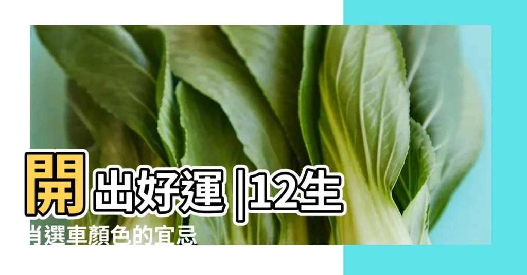 開出好運 |12生肖選車顏色的宜忌 |12生肖 |【生肖買車顏色】