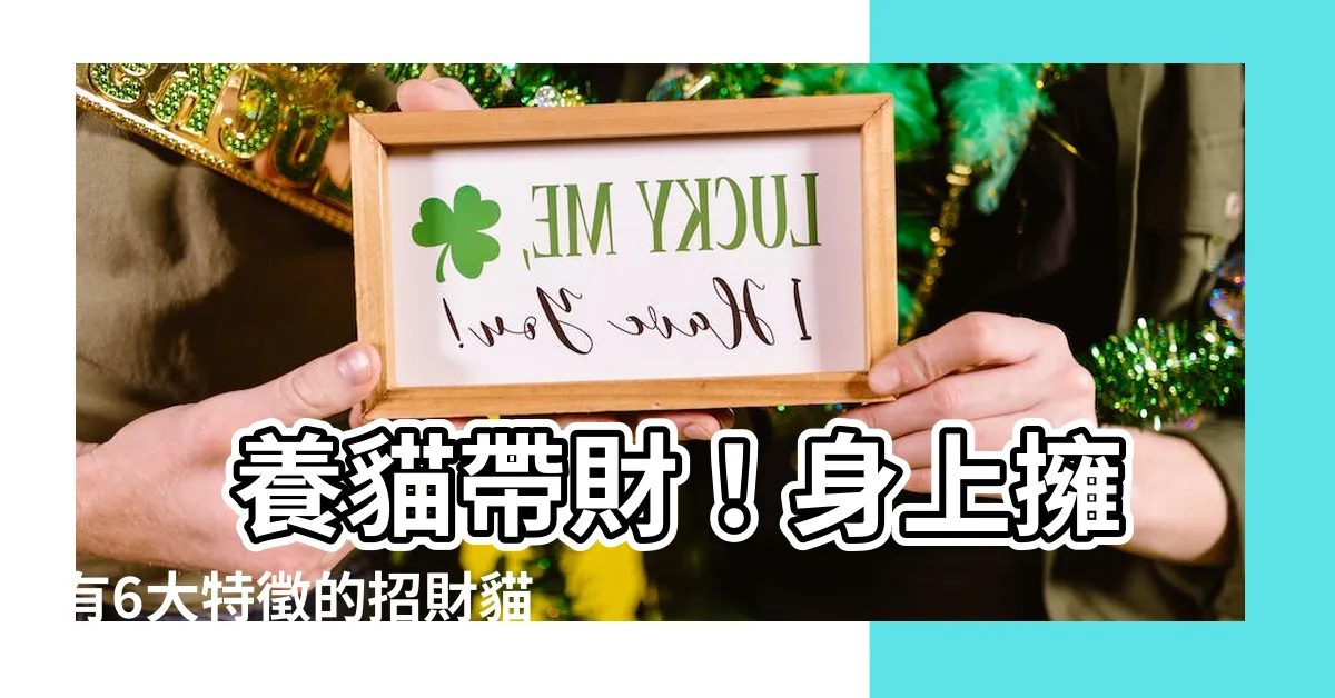 【養貓帶財】 養貓帶財！身上擁有6大特徵的招財貓，養到就是賺到！