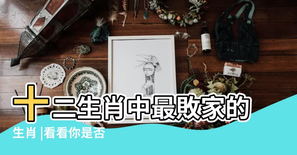 十二生肖中最敗家的生肖 |看看你是否上榜 |最敗家的生肖是 |【那個生肖最敗家】