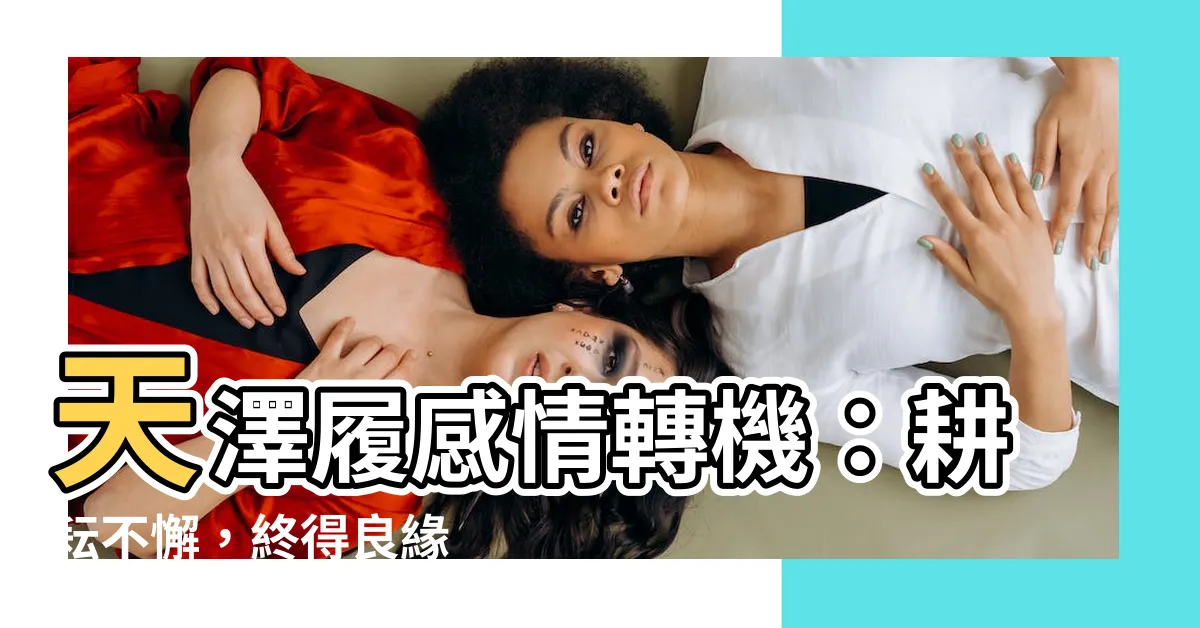 【天澤履感情】天澤履感情轉機：耕耘不懈，終得良緣