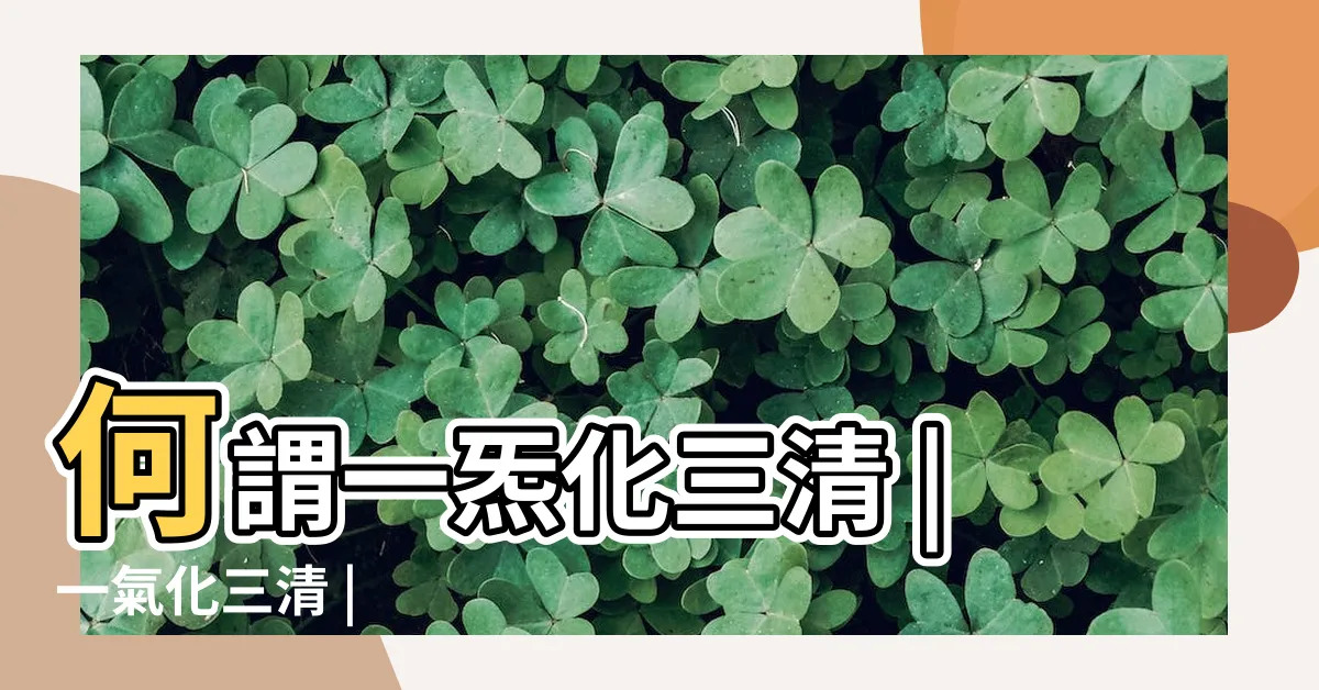 【一炁化三清意思】何謂一炁化三清 |一氣化三清 |