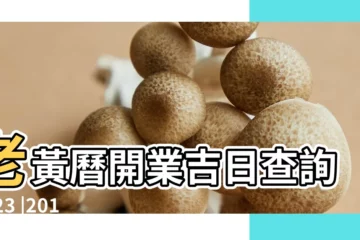 【2018年1月14曰開業好嗎】老黃曆開業吉日查詢2023 |2018年1月20日結婚好嗎1月20日結婚吉時分享 |老黃歷黃道吉日查詢 |