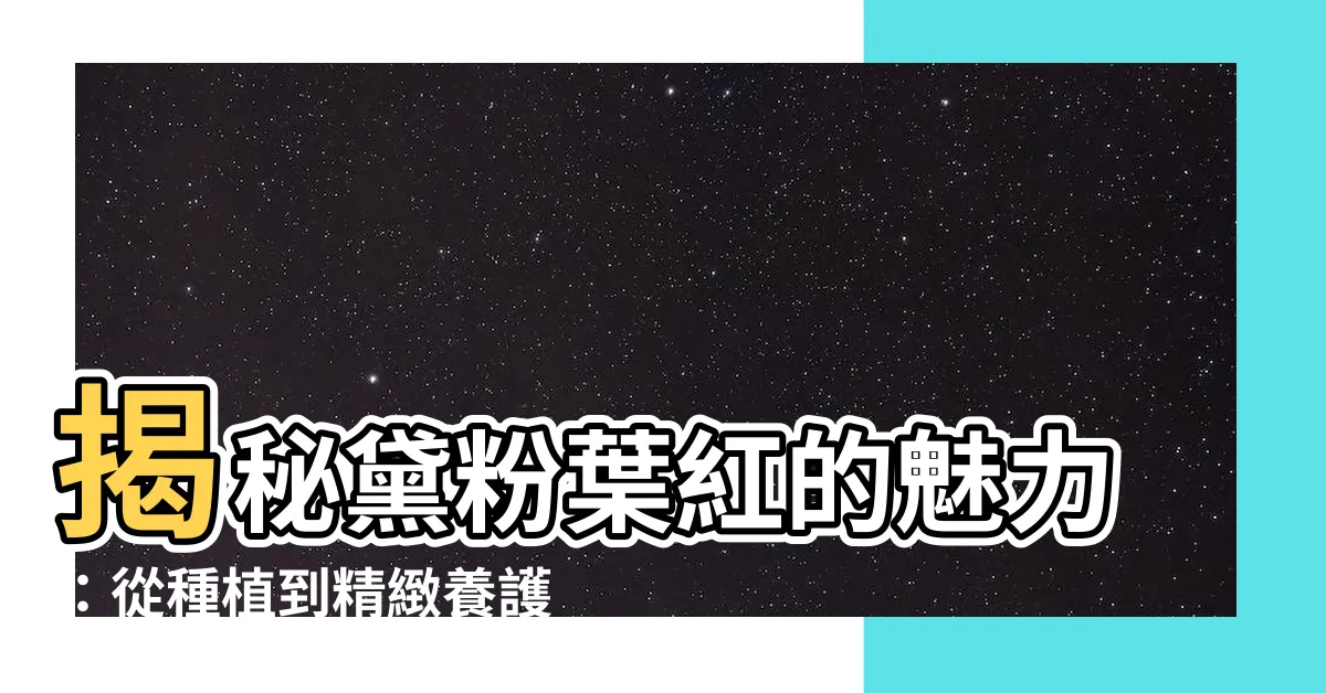 【黛粉葉紅】揭秘黛粉葉紅的魅力：從種植到精緻養護，讓你的植物閃耀動人