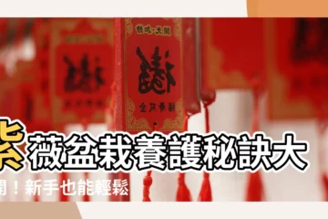 【紫薇盆栽】紫薇盆栽養護秘訣大公開！新手也能輕鬆養出嬌豔花朵
