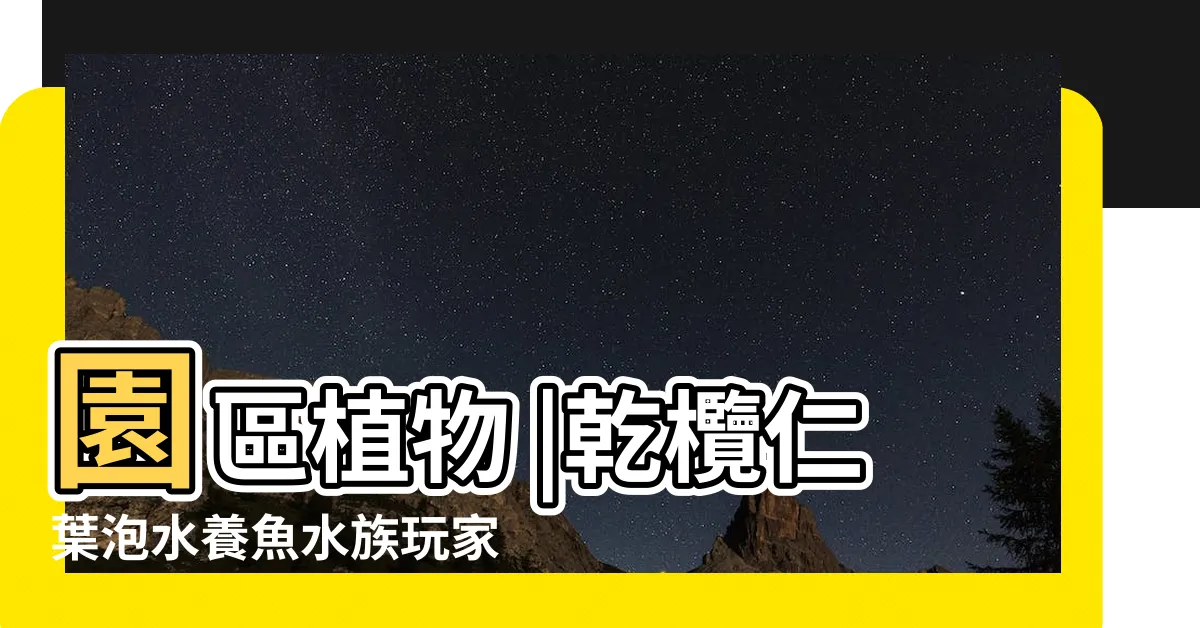 【大葉欖仁用途】園區植物 |乾欖仁葉泡水養魚水族玩家的秘方 |