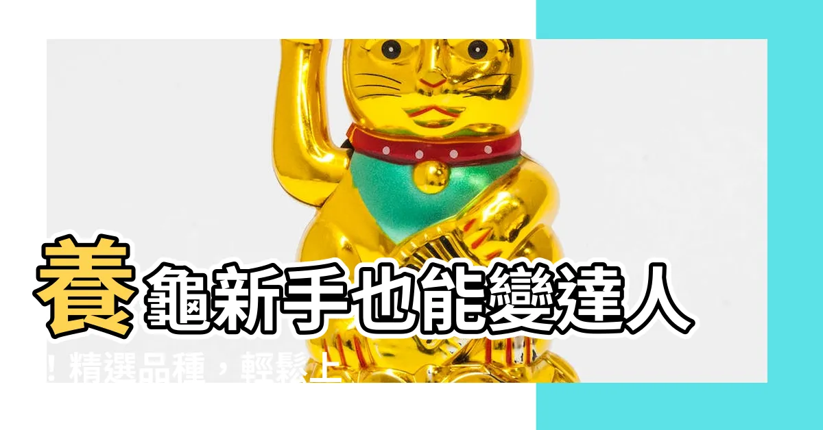 【養烏龜品種】養龜新手也能變達人！精選品種，輕鬆上手養龜樂趣