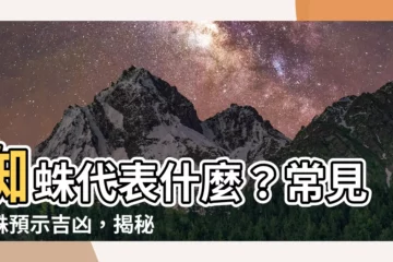 【蜘蛛代表什麼】蜘蛛代表什麼？常見蜘蛛預示吉凶，揭秘家中出現蜘蛛的奧秘