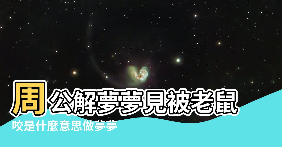 【夢見老鼠咬我】周公解夢夢見被老鼠咬是什麼意思做夢夢到被 |夢見被老鼠咬了 |夢見被老鼠咬 |