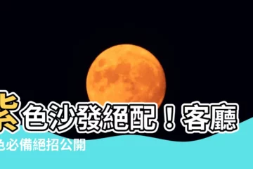 【紫色沙發配色】紫色沙發絕配！客廳配色必備絕招公開