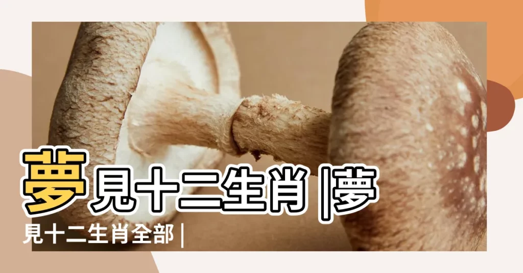 夢見十二生肖 |夢見十二生肖全部 |夢見12生肖預示著什麼 |【夢見有人12生肖】