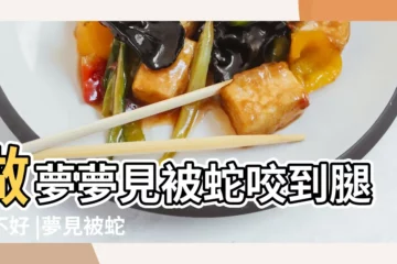 【夢見蛇咬我腿】做夢夢見被蛇咬到腿好不好 |夢見被蛇咬到腳 |將會疾病纏身 |