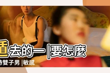 【雙子男被傷自尊】遁去的一 |要怎麼對待雙子男 |敏感的雙子總在為難著自己 |