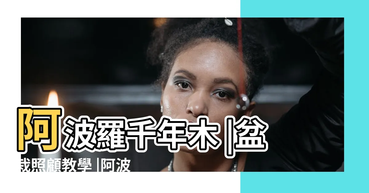 【阿波羅植物繁殖】阿波羅千年木 |盆栽照顧教學 |阿波羅千年木盆栽養殖及照顧方法 |