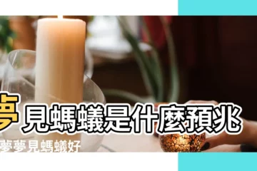 【周公解夢夢見螞蟻是什麼預兆】夢見螞蟻是什麼預兆 |做夢夢見螞蟻好不好 |夢見身上有很多螞蟻是什麼預兆 |