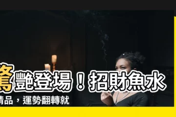 【招財魚】驚艷登場！招財魚水族精品，運勢翻轉就靠這缸！