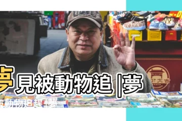 【夢到動物追趕】夢見被動物追 |夢見被動物追趕 |夢見動物追做夢夢到是什麼意思會怎麼樣好不好 |
