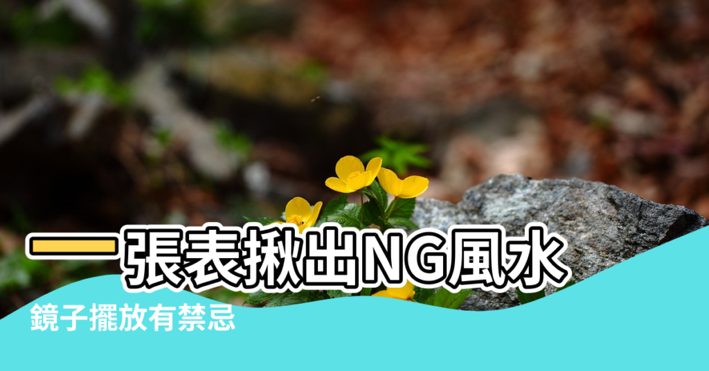 【風水鏡子對大門】一張表揪出NG風水 |鏡子擺放有禁忌 |你家鏡子擺對了嗎 |