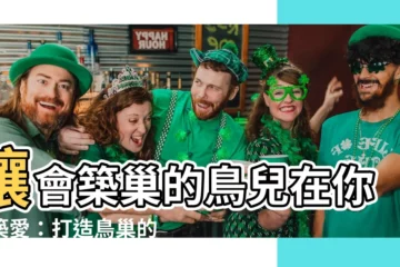 【會築巢的鳥】讓會築巢的鳥兒在你家築愛：打造鳥巢的秘訣