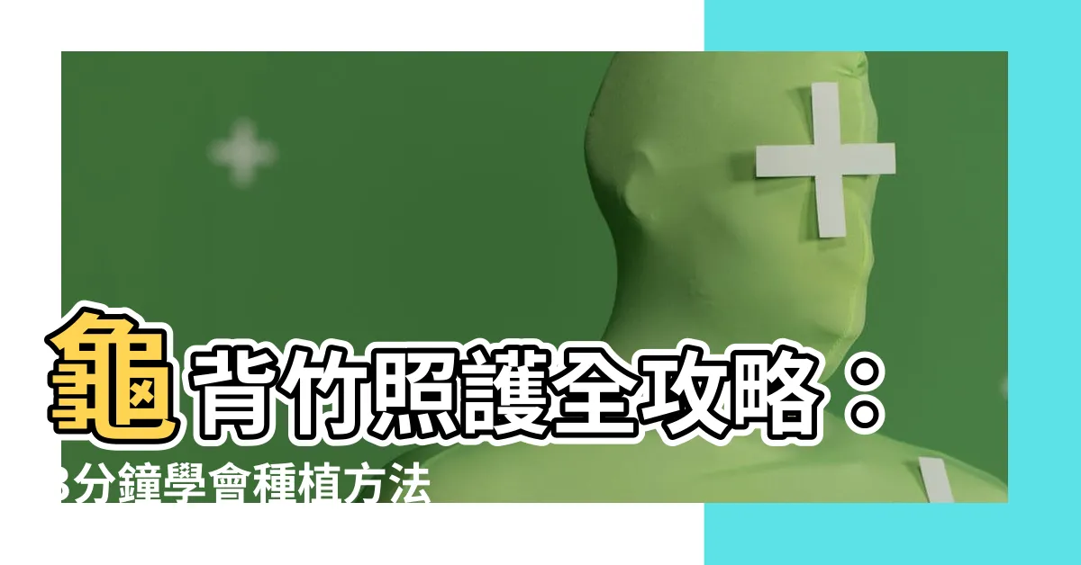 【龜背竹】龜背竹照護全攻略：3分鐘學會種植方法，讓你的綠手指開花！
