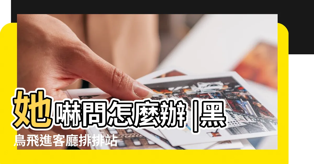【黑鳥飛進家裡】她嚇問怎麼辦 |黑鳥飛進客廳排排站 |搜索結果 |