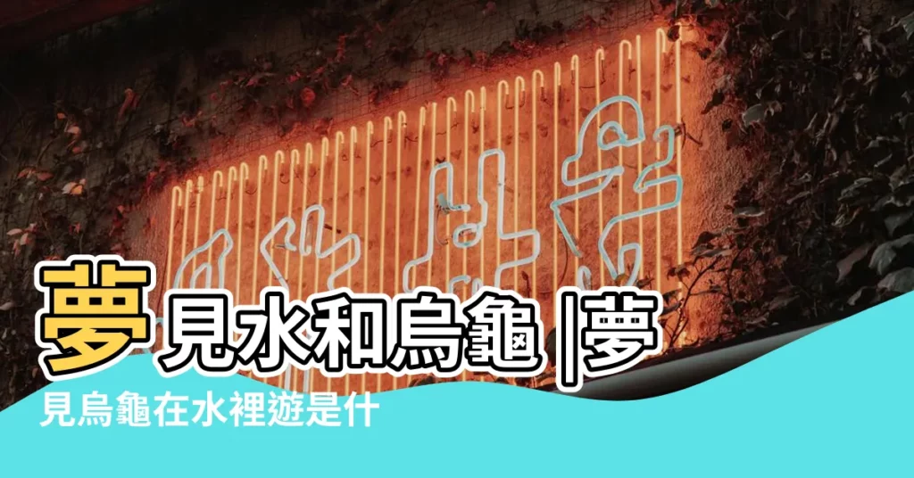 夢見水和烏龜 |夢見烏龜在水裡遊是什麼意思做夢夢到烏龜在水裡遊代表什麼 |做夢夢見烏龜好不好 |【夢見我在水中碰到老龜】