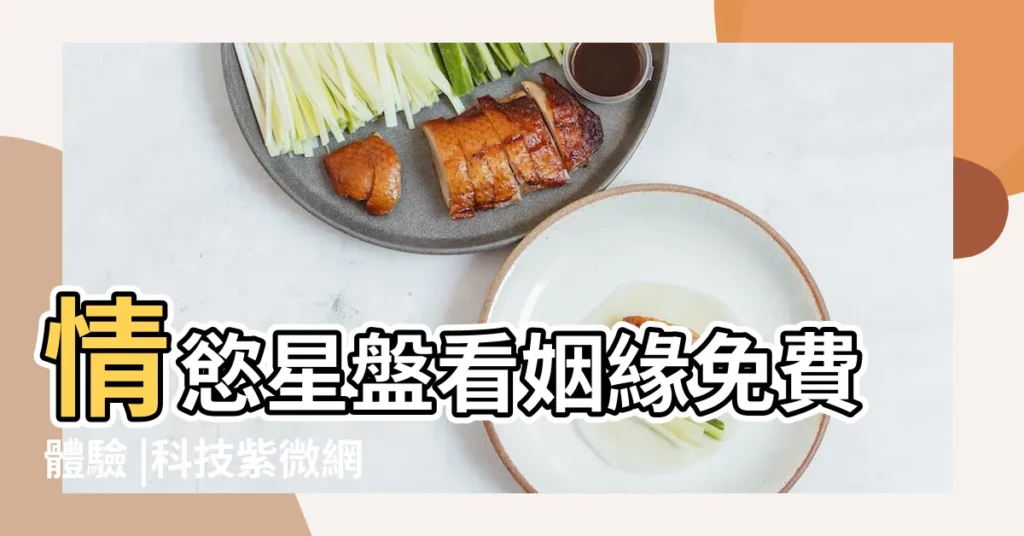 情慾星盤看姻緣免費體驗 |科技紫微網 |單元介紹 |【星盤關於愛情】