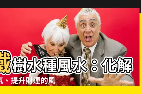 【鐵樹水種風水】鐵樹水種風水：化解煞氣、提升財運的風水秘訣