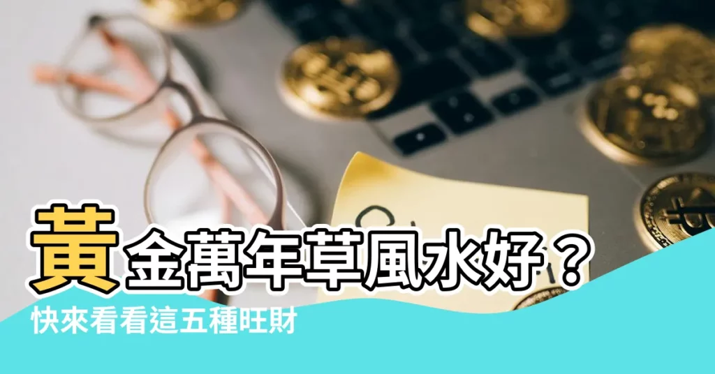 【黃金萬年草風水】黃金萬年草風水好？快來看看這五種旺財多汁植物！