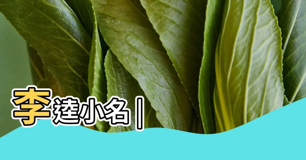 李逵小名 |【小名鐵牛】