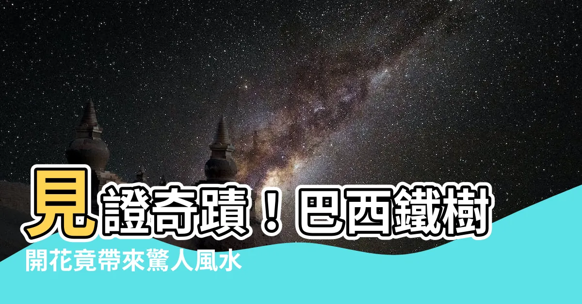 【巴西鐵樹開花風水】見證奇蹟！巴西鐵樹開花竟帶來驚人風水奇效