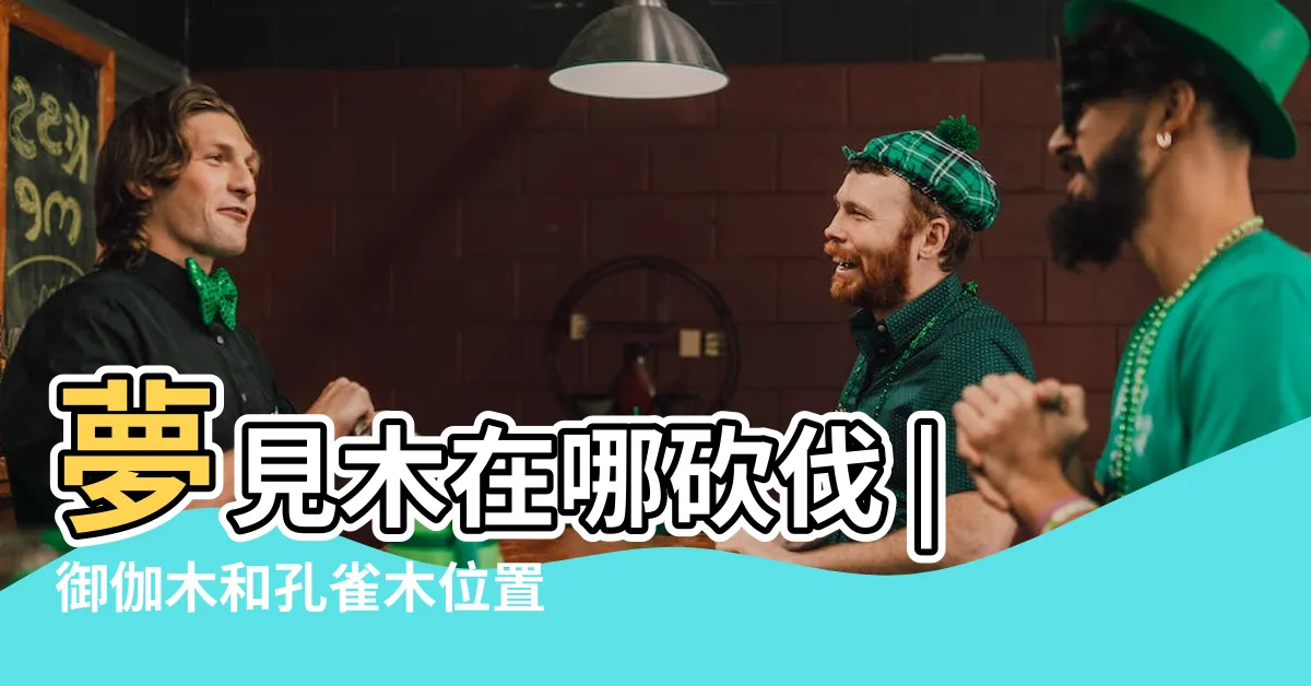 【夢見木 位置】夢見木在哪砍伐 |御伽木和孔雀木位置分享 |夢見木採集路線分享 |
