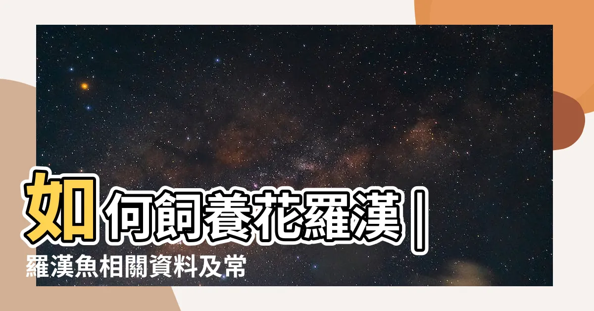 【花羅漢】如何飼養花羅漢 |羅漢魚相關資料及常識 |