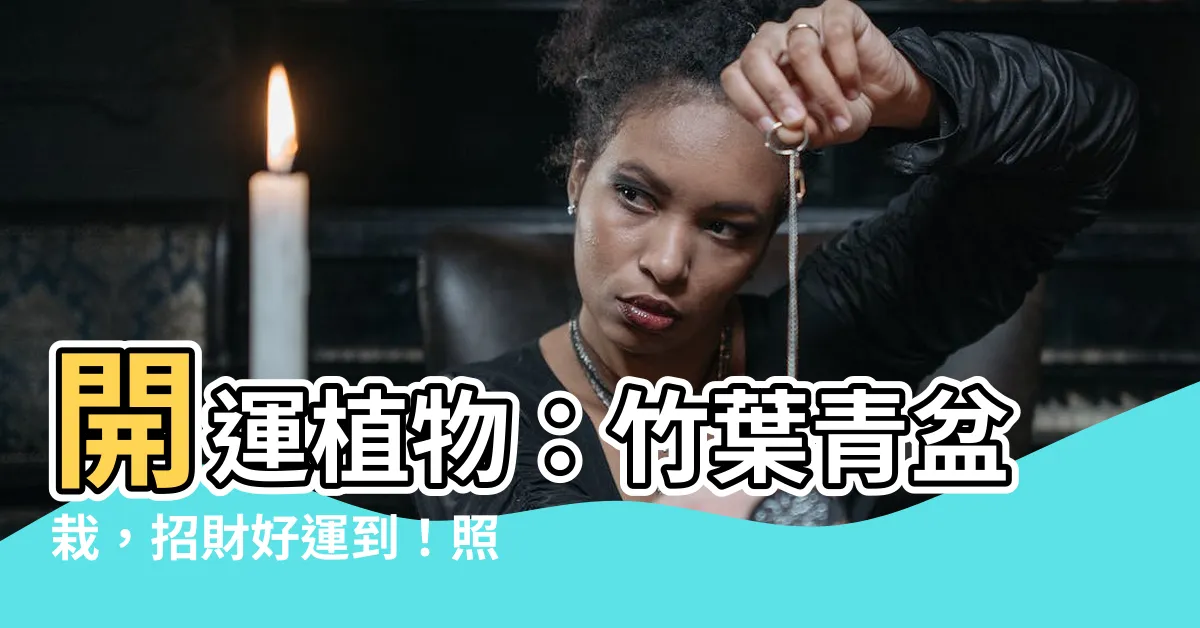 【竹葉青盆栽】開運植物：竹葉青盆栽，招財好運到！照顧秘訣與禁忌大公開