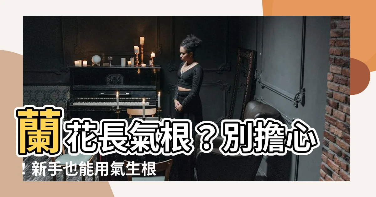 【蘭花氣根繁殖】蘭花長氣根？別擔心！新手也能用氣生根繁殖蝴蝶蘭！