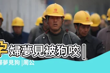 【孕婦夢到小狗咬肚子】孕婦夢見被狗咬 |孕婦夢見狗 |周公解夢孕婦夢見被狗咬 |