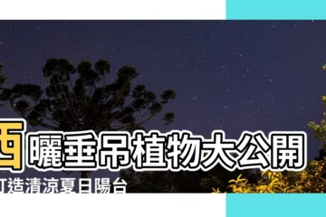 【西曬垂吊植物】西曬垂吊植物大公開：打造清涼夏日陽台