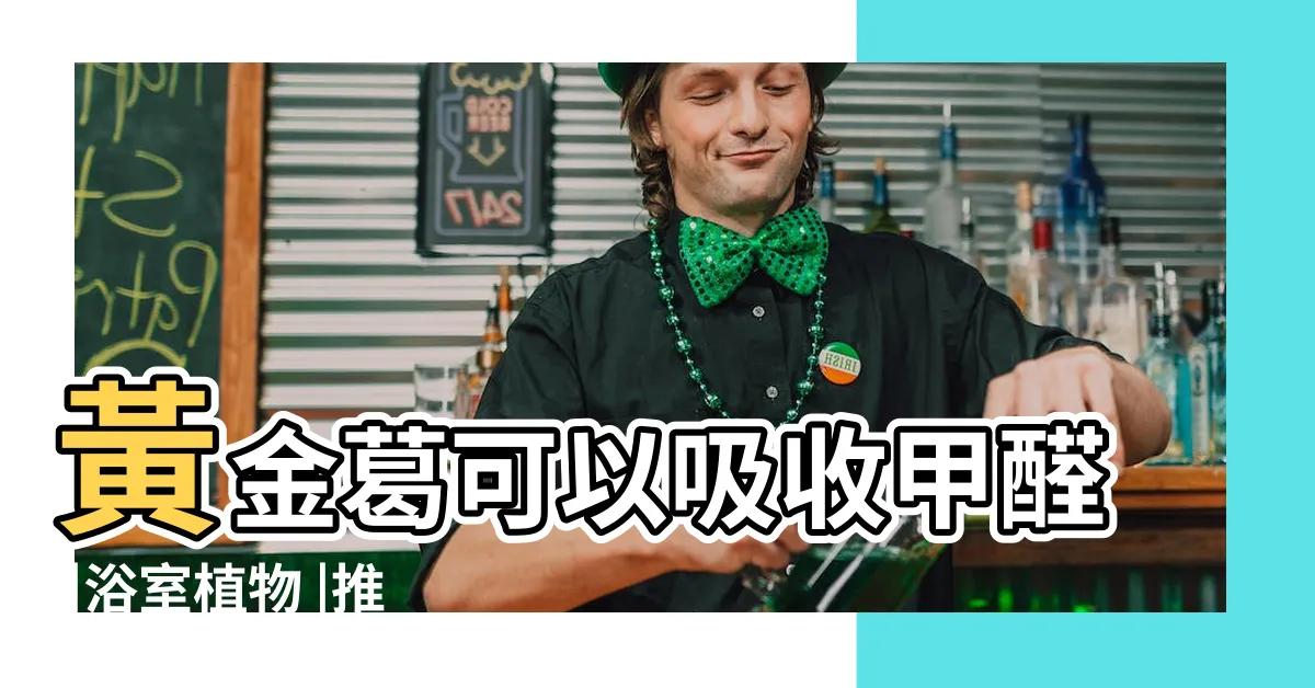 【適合廁所的植物】黃金葛可以吸收甲醛 |浴室植物 |推薦這6種 |