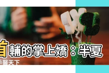 【首輔的掌上萌珠半夏】首輔的掌上嬌：半夏妙手醫天下