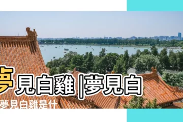 【夢見送給別人白色的母雞】夢見白雞 |夢見白雞 |夢見白雞是什麼預兆 |