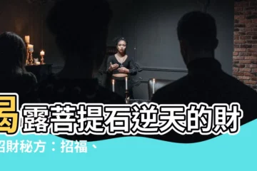 【菩提石功效】揭露菩提石逆天的財富招財秘方：招福、旺財、轉厄運！