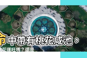 【桃花咸池】命中帶有桃花咸池，是桃花運旺嗎？還是爛桃花不斷？