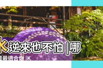 【白羊座適合穿什麼鞋子】水逆來也不怕 |哪種鞋最適合你 |Kimo德國品牌健康鞋 |