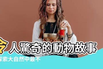 【動物】令人驚奇的動物故事：探索大自然中最不可思議的生物