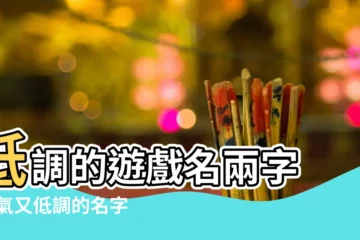 【低調有內涵兩個字的遊戲名】低調的遊戲名兩字 |大氣又低調的名字2字簡單網名低調奢華有內涵的名字大全 |低調一點的遊戲名字 |